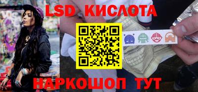прущие грибы Пугачёв
