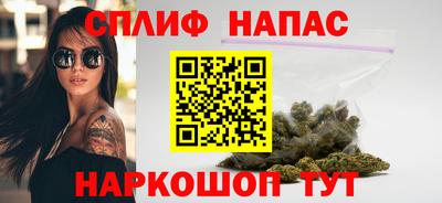 прущие грибы Пугачёв